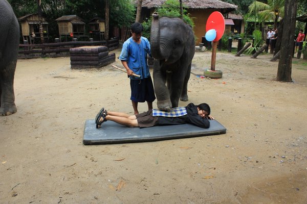 Binns getting a Thai massage from an elephant