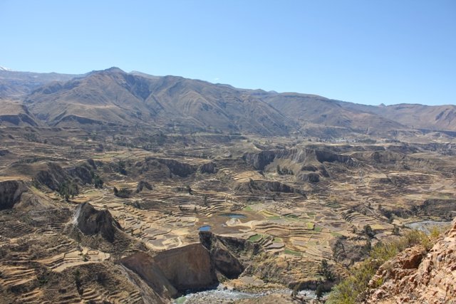 Sweet pre-Inca terraces