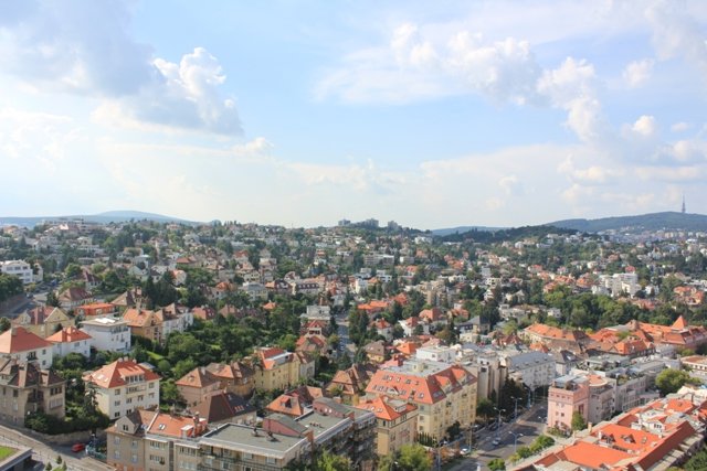 View of the City