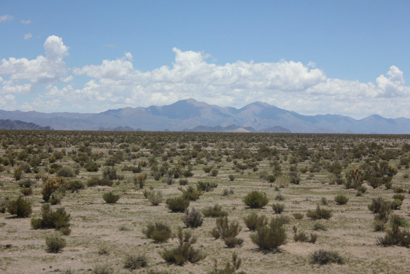 Puna, Argentine desert