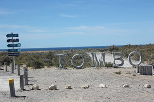 Punta Tombo
