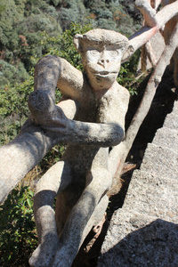 Monkey railing