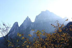 Fall colours at Huangshan