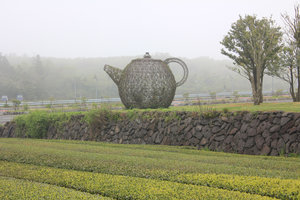 Green tea museum