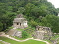 pic from atop tower...palenque