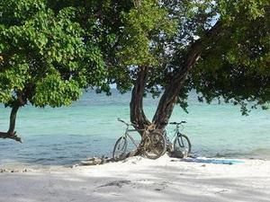 bikes at the beach