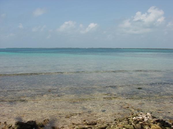 view from tobacco caye