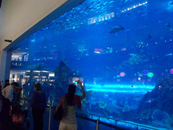 Indoor Aquarium