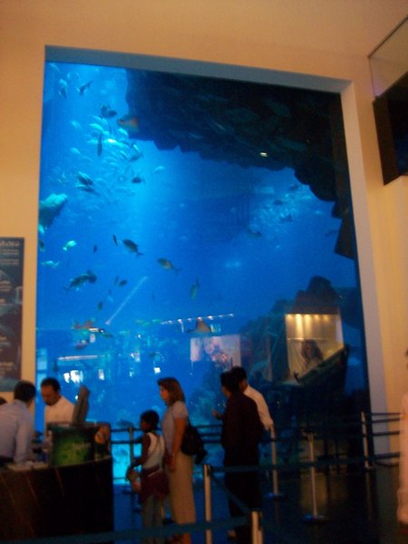 Indoor Aquarium