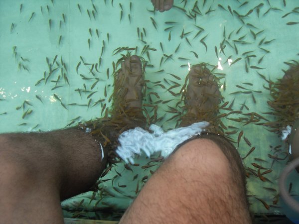 Fish Massage 