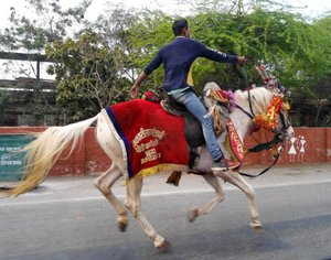Wedding Horse riding through the busy Agra streets 
