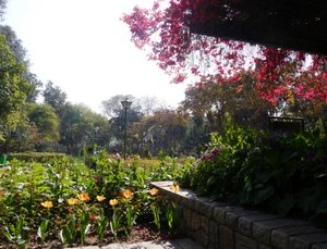 Lodhi Gardens