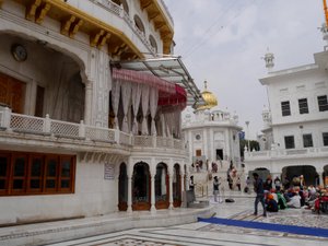 190221 Amritsar golden temple (296)