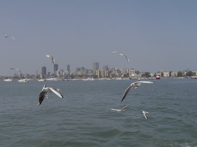 190305 Mumbai (78)
