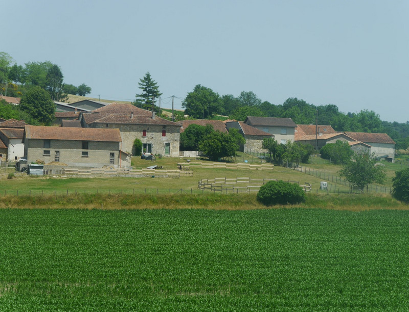220617 Limeuil (73)