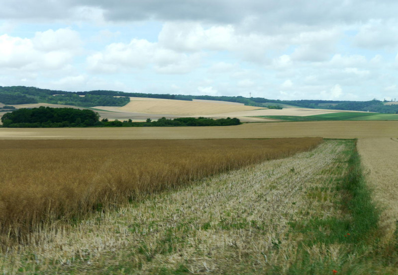 220624 Mesnil-st-pere (35)