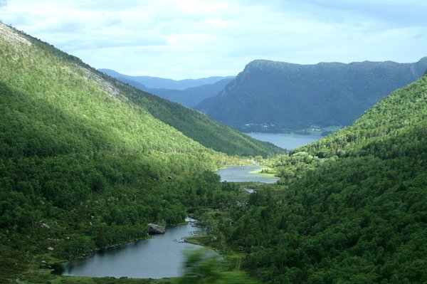 Fjords, mounrtains ans forests.