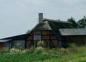 Thatched buildings as we drove down Denmark