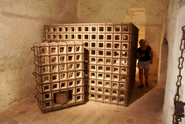 Prison cage