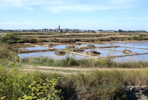 Les Marais Salants Les Marais Salants