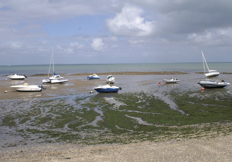 La Flotte. As usual the tide was out.