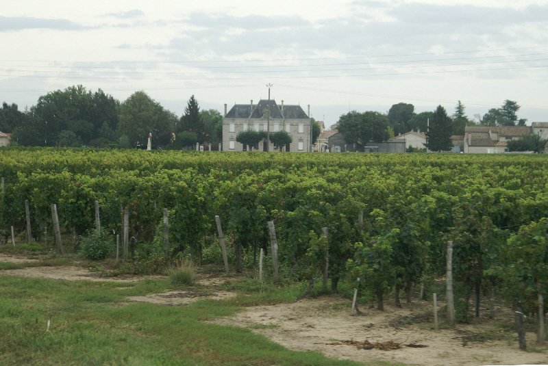 A vineyard chateau hiding its light behind trees as it were