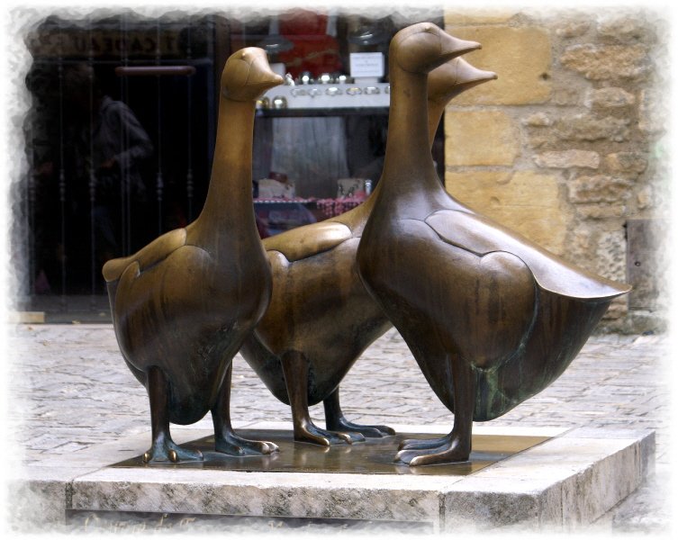 Sarlat Geese. Take a photo every time we see them.