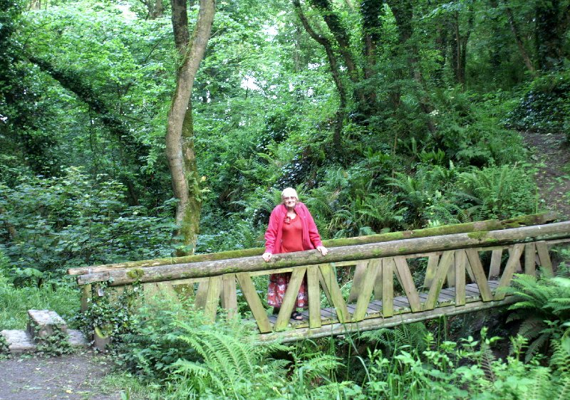 Looking for the little people in the woods at Newtiown, Tramore