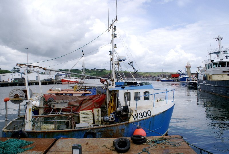 Dunmore East fishing boats in harbour