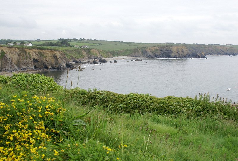 Lovely views across the cliffs of the Copper Coast