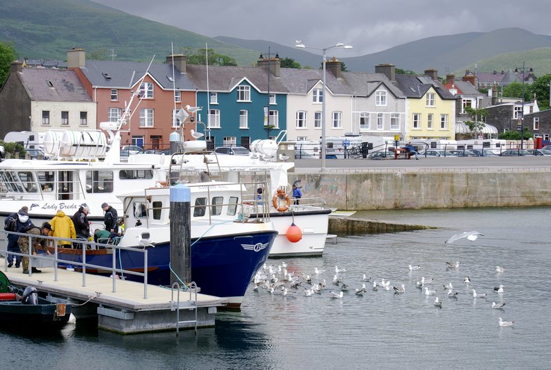 Dingle Bay