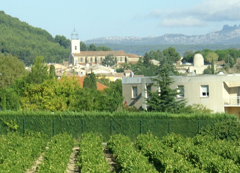 Last view of the vineyards on the south coast backed by the row of rocky hills