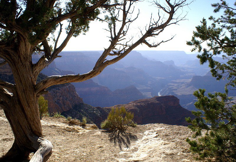  Grand Canyon 