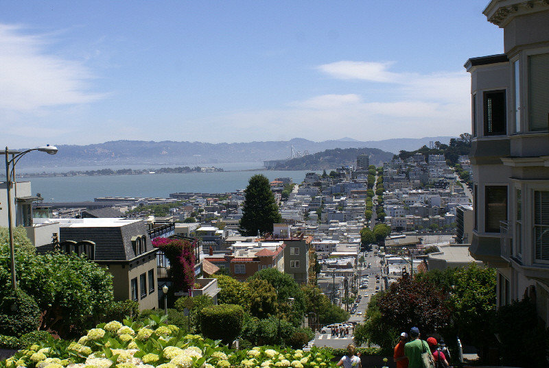 San francisco from top of Lombard Streett