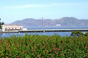 Golden Gate Bridge and a sunny floral San francisco 