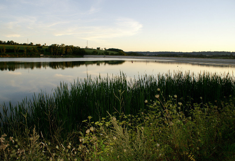 More lake