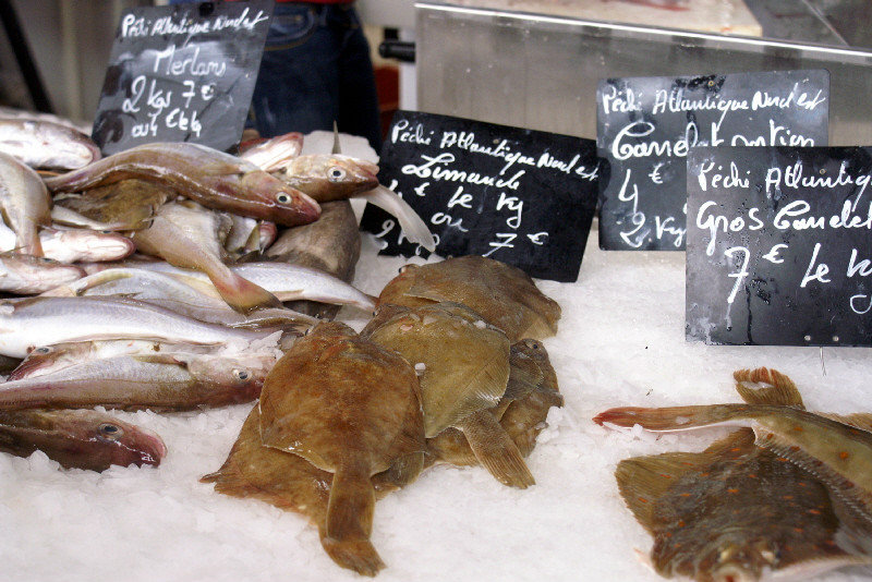 The fishing boat came in at 2.30 - never seen such fresh Plaice for sale