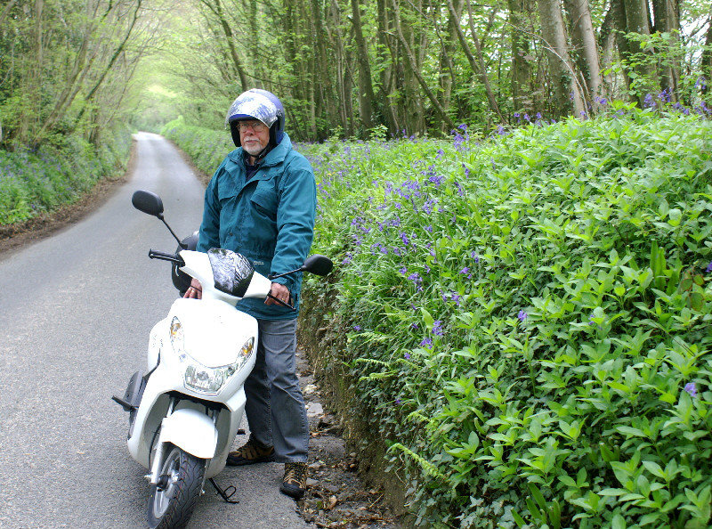 Bluebells in Dorset and our new scooter
