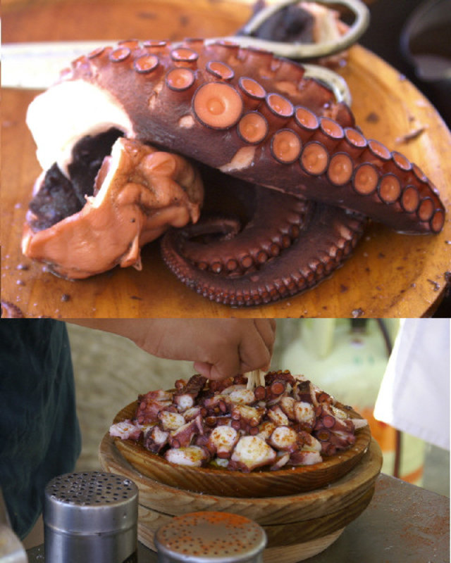 Santiago di Compostela Octopus - I promise never ever to eat any