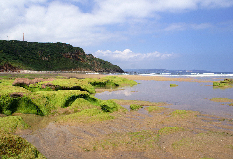 Curious bright green rock pools on Vega beach