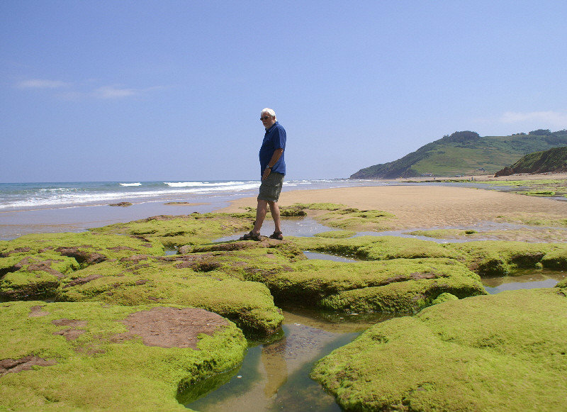Bob exploring the rock pools and looking very tall