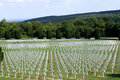 Verdun Graveyard