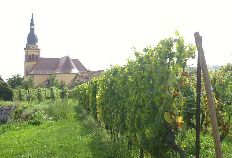 Church through the vineward