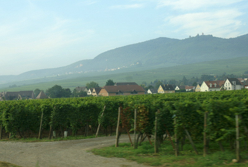 Starting with the vineyards of Alsace