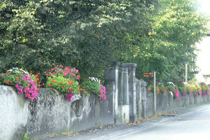 Flowers in abundance near Annecy
