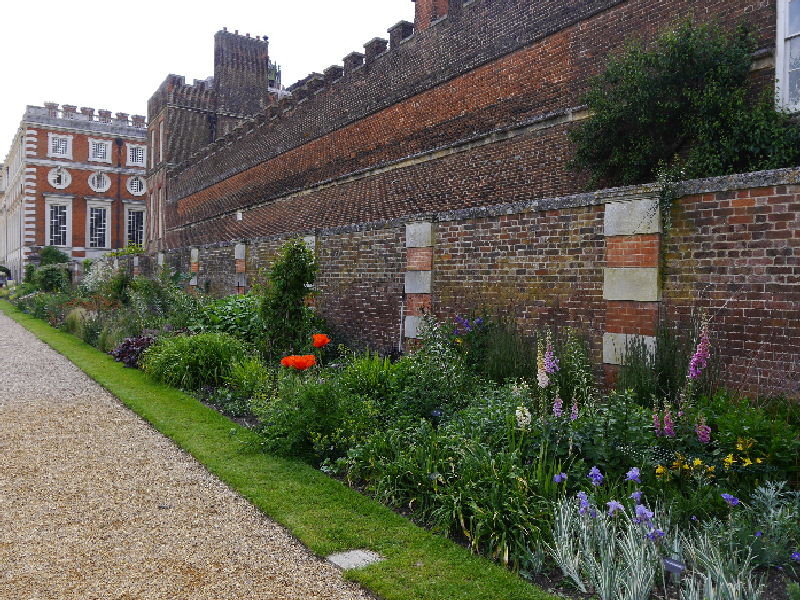 Hampton Court  - Herbaceous border goes on endlessly 
