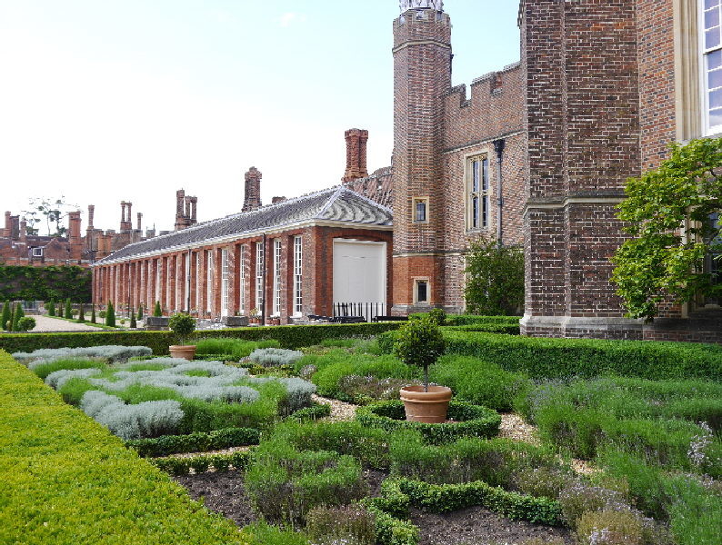 Hampton Court  - lavender garden