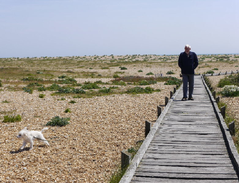 One man and someone else's dog in noman's land, Dungeness'