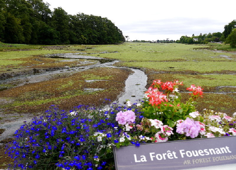 La Foret Fouesnant - low tide