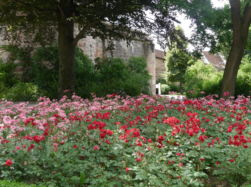 Nurenburg castle gardens